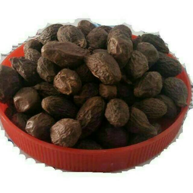 10 G 50 GR 100 GRAM 胖大海子 PANG DA HAI ZI BUAH TEMPAYANG