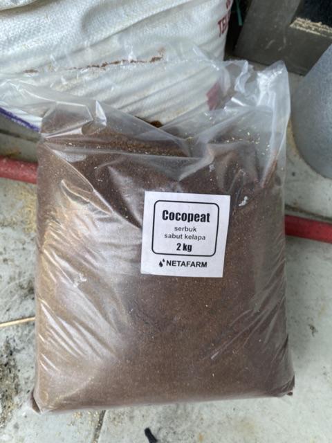 Paket 2pcs Nampan Alas Tray + 2pcs Tray Semai 200 Lubang