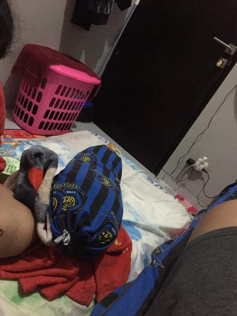 Florence Travel Bed | Kasur Lipat 90x190 Cm