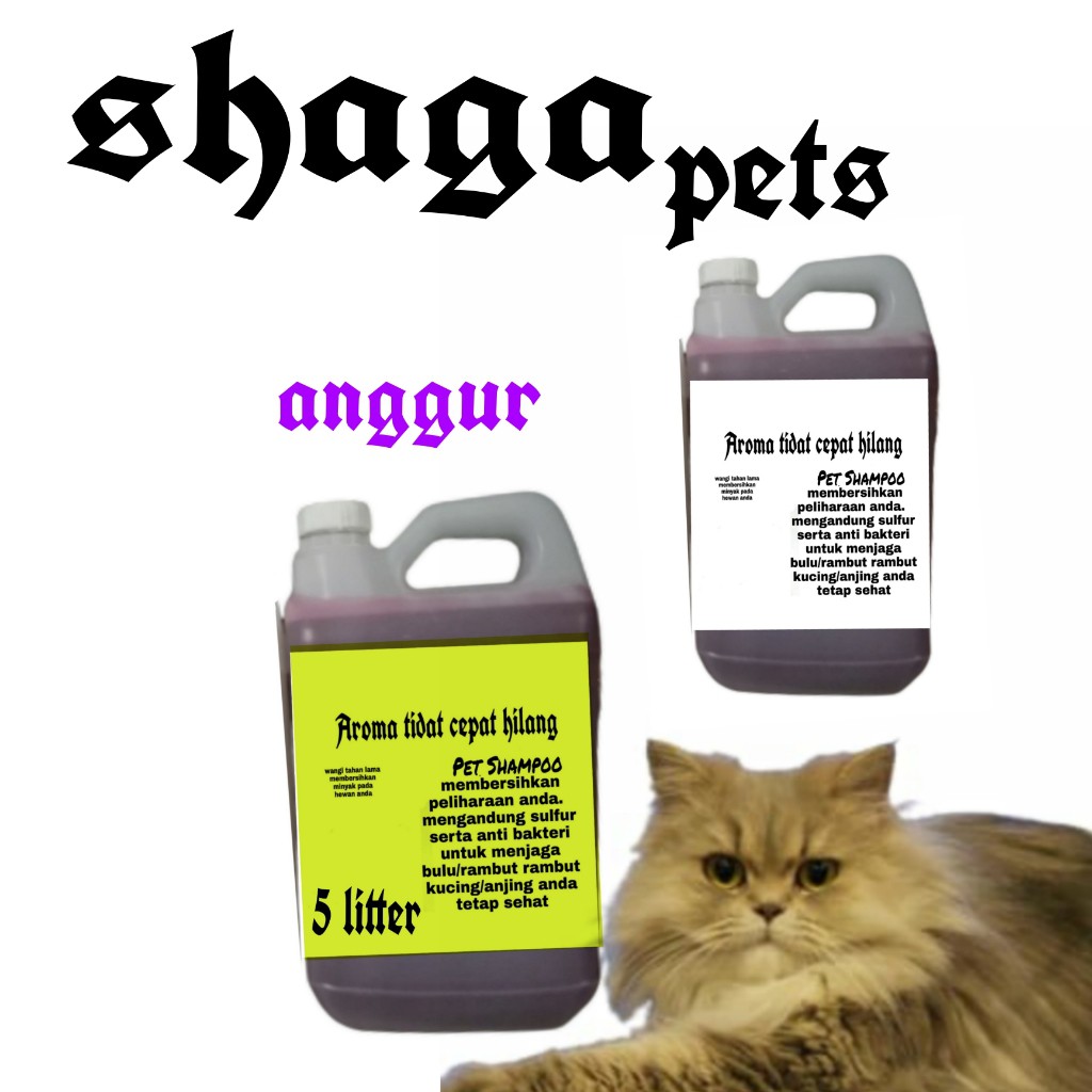 SG PETS SHAMPOO BAKTERI JAMUR ANTI _TICK 5  LITTER SHAMPOO KUCING -ANJING