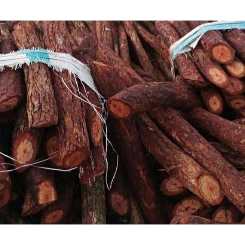 

Akar bajakah asli