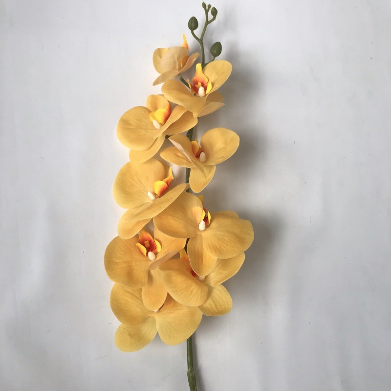 ANGGREK LATEX ORCHID X1 panjang 1 meter -  bunga plastik artificial home decor shabby chic-Kuning polos