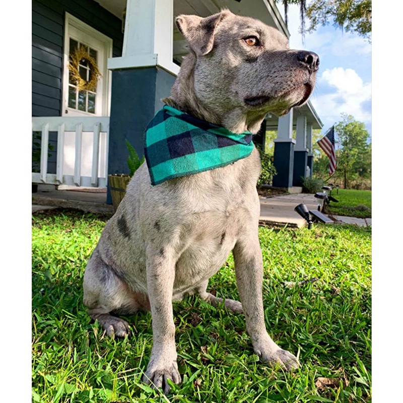 Syal Bandana Motif Kotak-Kotak Bahan Katun Dapat Dicuci Untuk Anjing