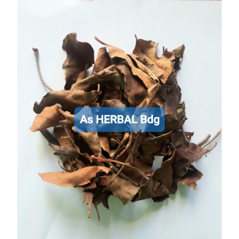 

Benalu kopi kering paket 1 kg ready-az