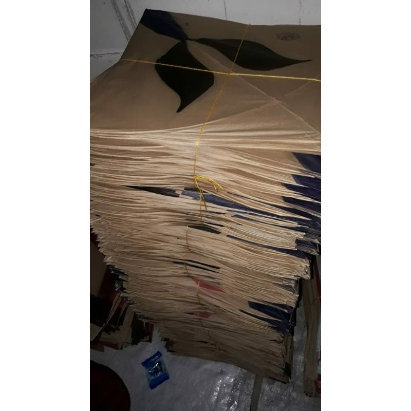 Layangan  seot munaroh 56 ipKites