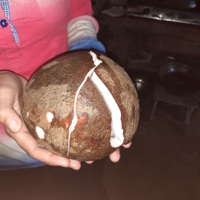 

kelapa parut