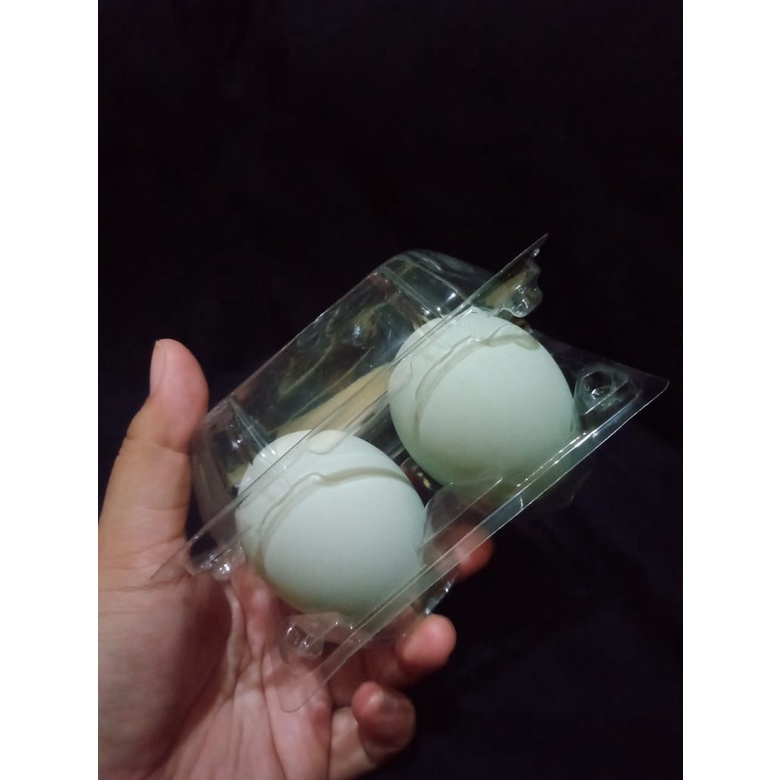 TRAY MIKA TELUR BEBEK ISI 2 [ ISI 20 PCS ]