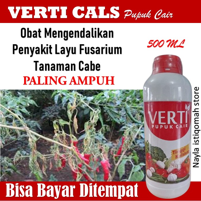 PROMO Verti Cals Pupuk Cair Mengendalikan Penyakit Layu Fusarium Pada Cabe - Obat Atasi Layu Fusariu