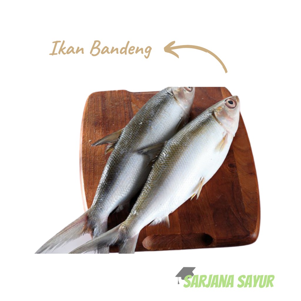 

Ikan Bandeng Segar / Sarjana Sayur