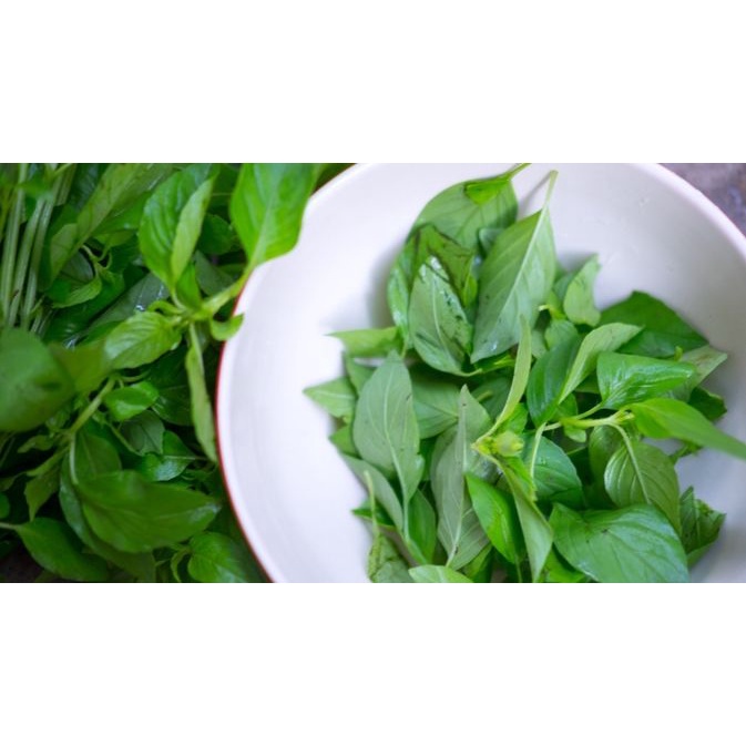 

Daun kemangi