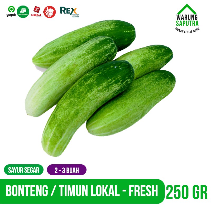 

Buah / Sayur Mentimun Timun Bonteng Bandung 250g