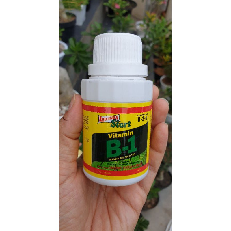 Vitamin B1 cair vitani liquinox start B1 plus B1 Thailand pupuk untuk perangsang akar tanaman anti stres