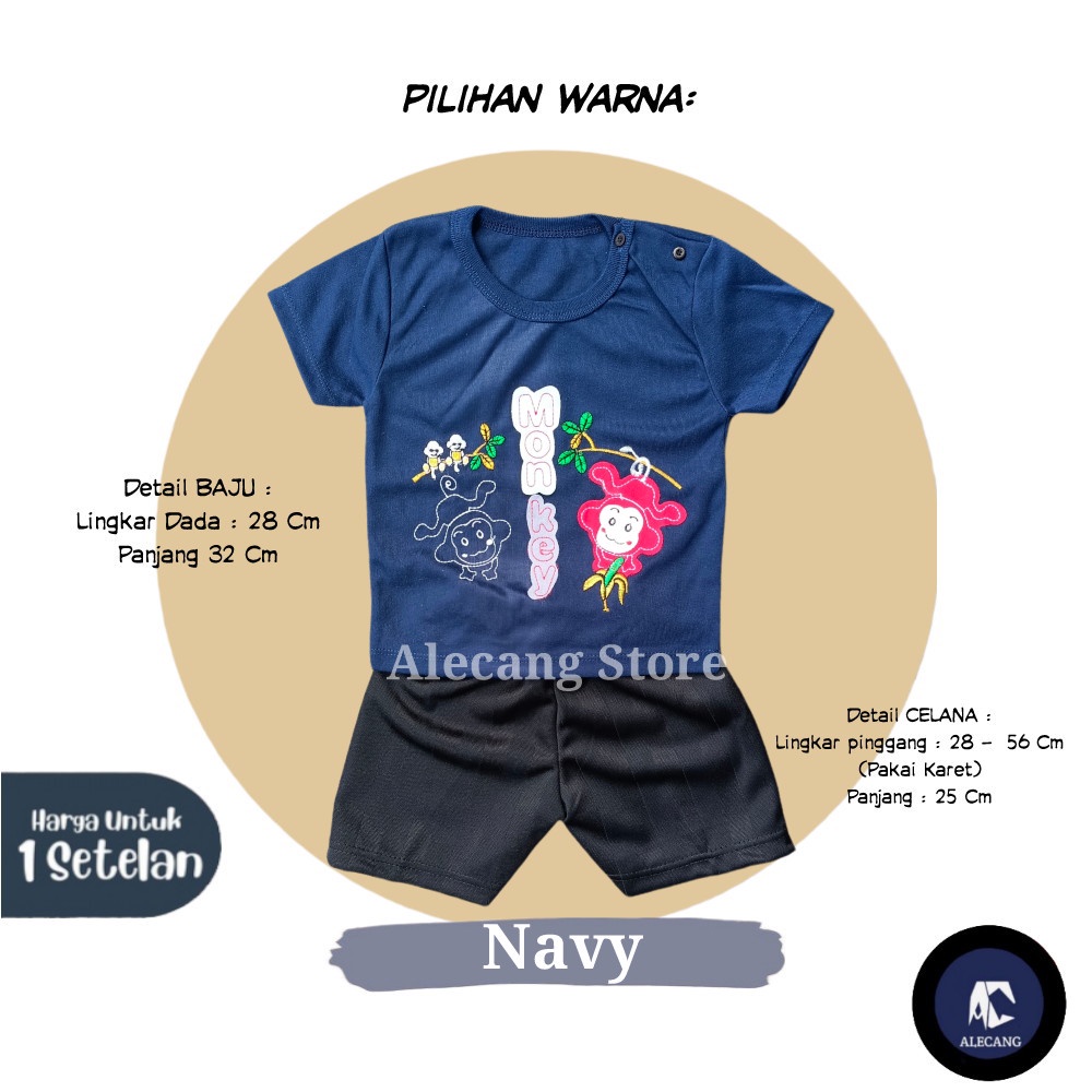 Setelan Pendek Baju Bayi Laki-laki size 6 - 12 Bulan Merk EDRYCA