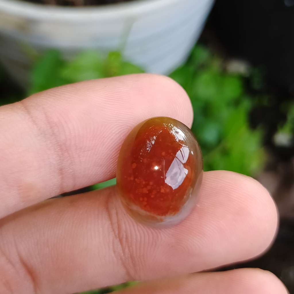 batu akik merah darah asli kalimantan bkn ruby safir zamrud opal giok yakut wulung kalimaya