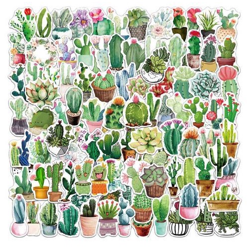 Green Succulent Paper Sticker (10pcs)