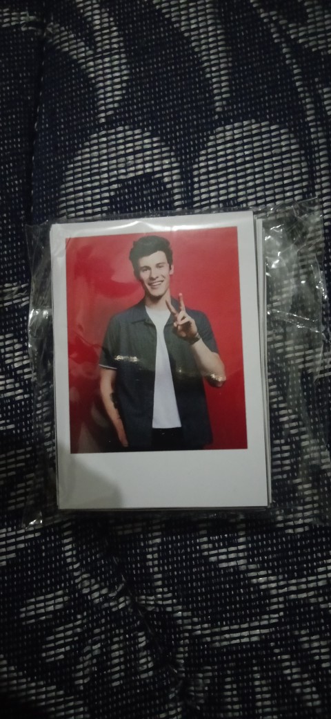 Polaroid Photo Shawn Mendes