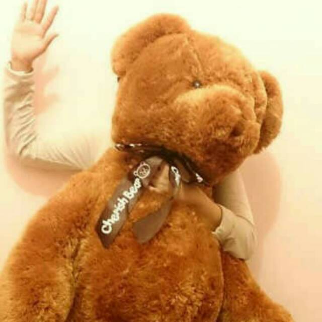 Bonek teddy bear house pita besar giant jumbo 1meter bahan lembut