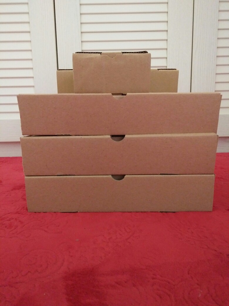 25x25x5 (10pcs) Box Pizza Eflute Kotak Kemasan Kemeja Kardus Karton Kue Hijab