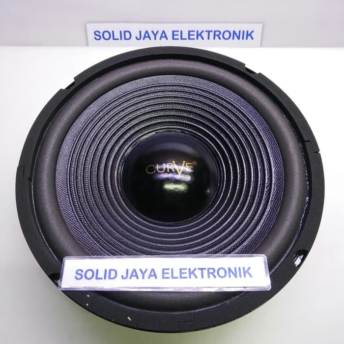 Speaker Curve 10inc 10&quot; Woofer Curve Speaker Woofer Curve 25H100SUWPP - 10 INC