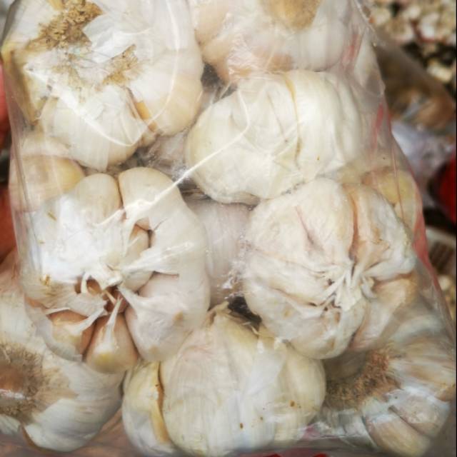 

Bawang putih banci / honam