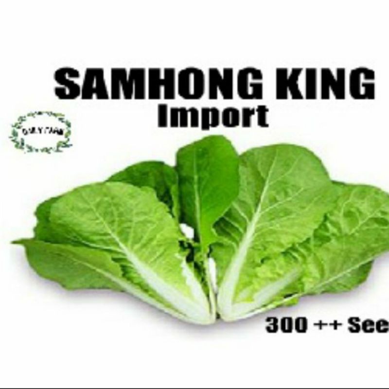 Benih Bibit Sawi Samhong King - Sawi Keriting Kemasan Alumunium