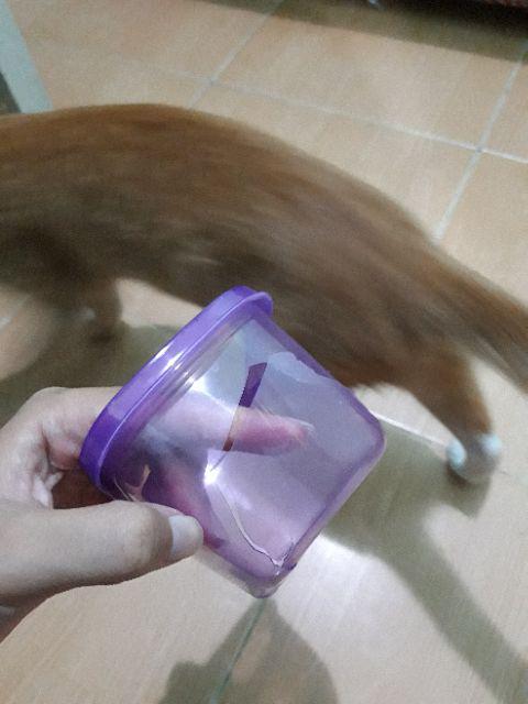 Technoplast Kotak Penyimpanan Serbaguna 1 Set  Azumi Set Of 18 Murah