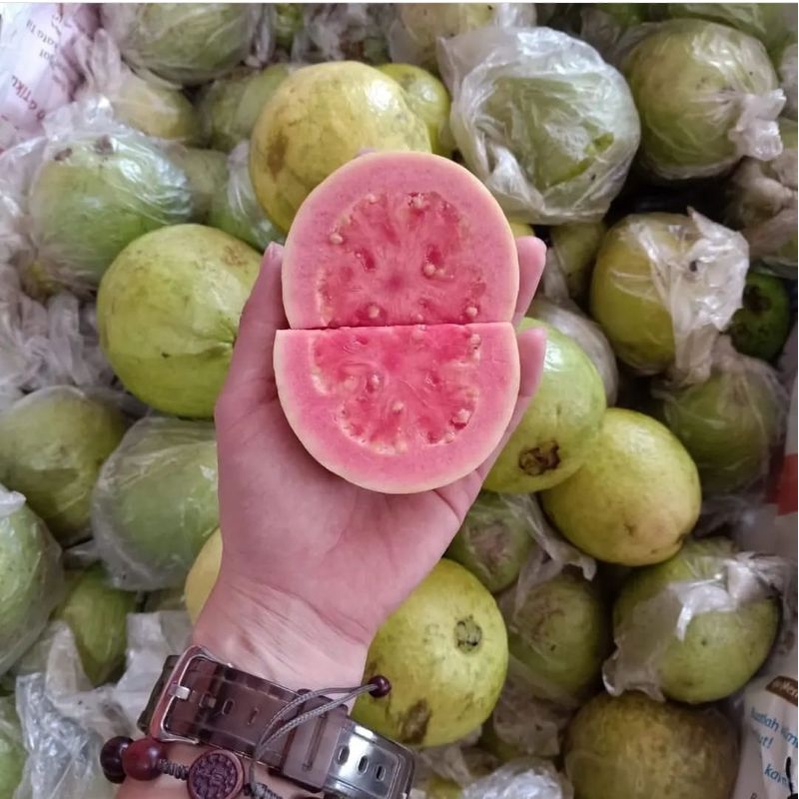 

Buah Jambu Merah Biji - 1 KG