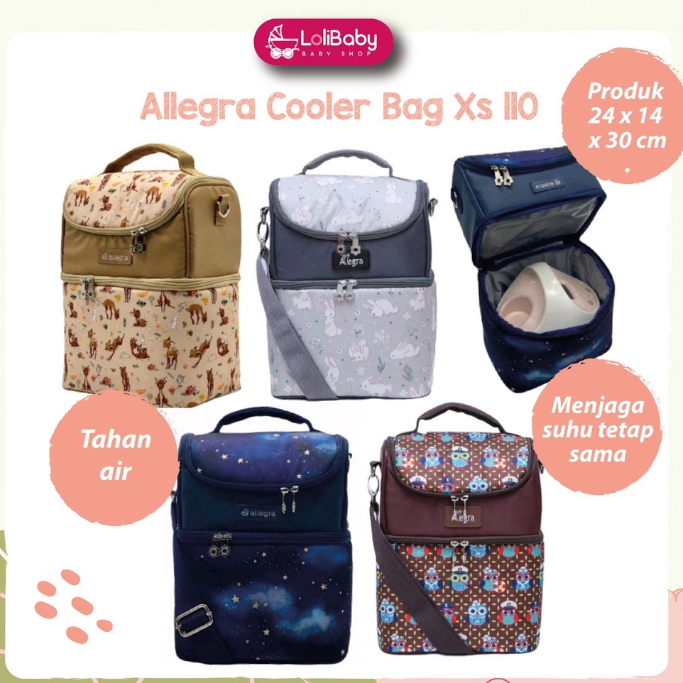 Allegra Cooler Bag | Tas Penyimpanan Asi | Tas Asi