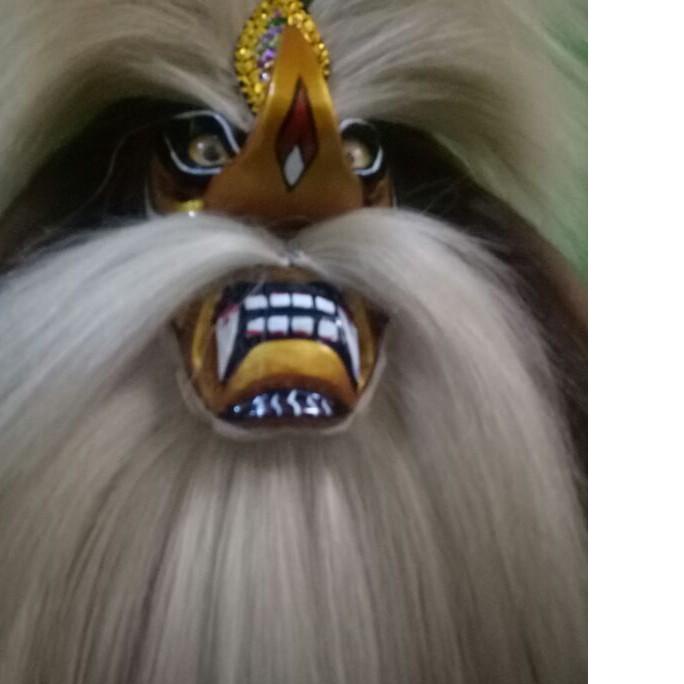 ganongan Emas ukuran dewasa <