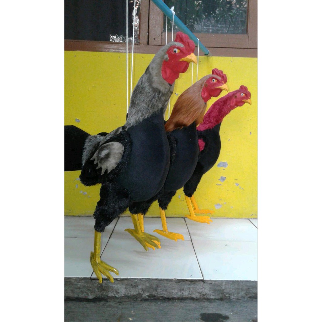 Boneka Ayam Aduan Onderdil Shopee Indonesia