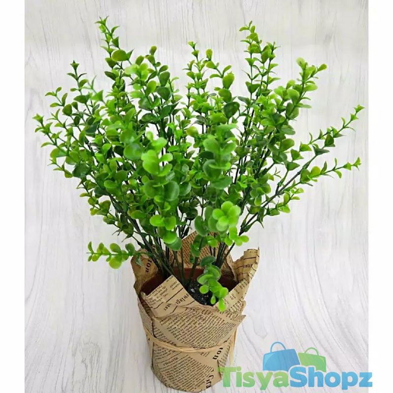 Daun Dollar Mini 7 Cabang / Daun Artificial Plastik [TANPA POT]