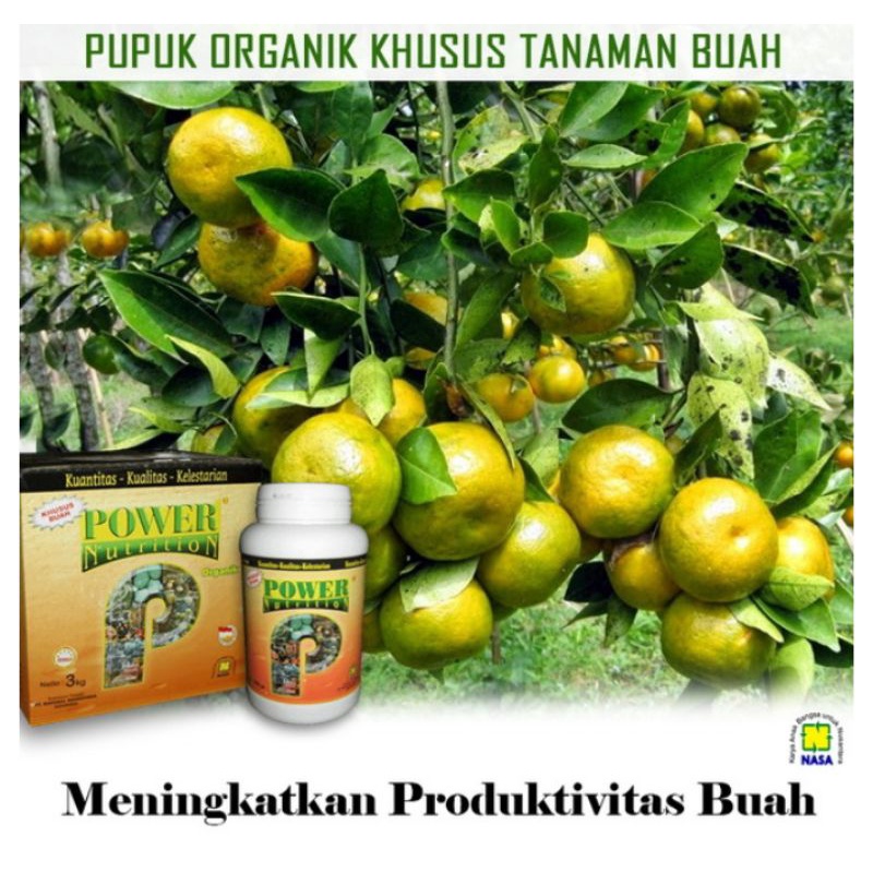 Pupuk Pwr Nutrition NASA 250 gram Power Nutrition Nasa PWRK