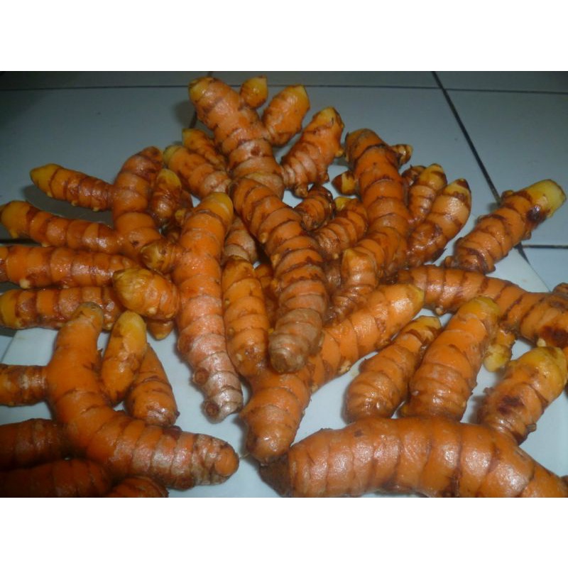 

kunyit 1 kg harga grosir