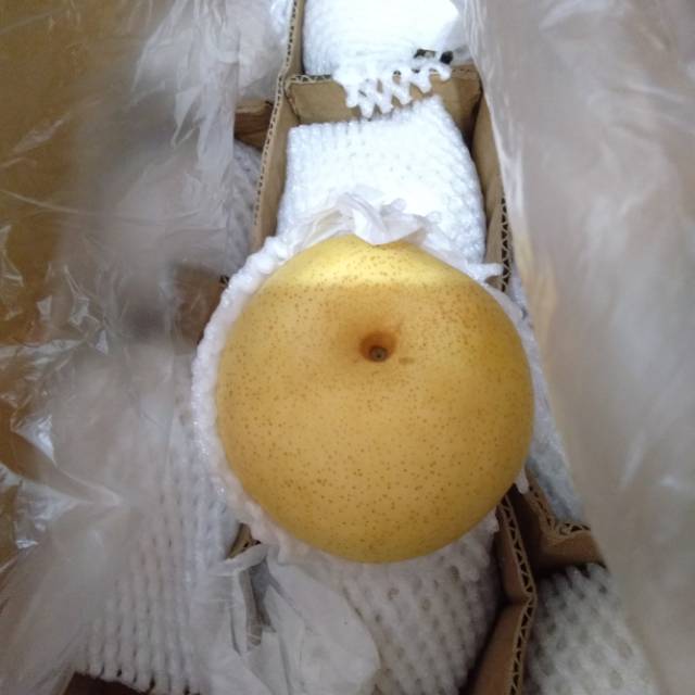 

Pear century