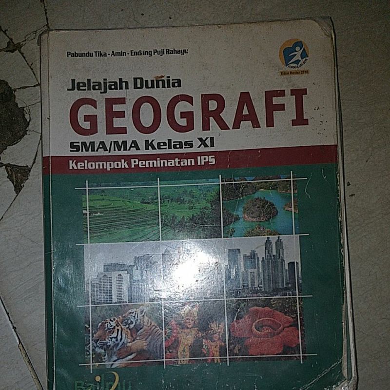 buku jelajah dunia geografi kls XI