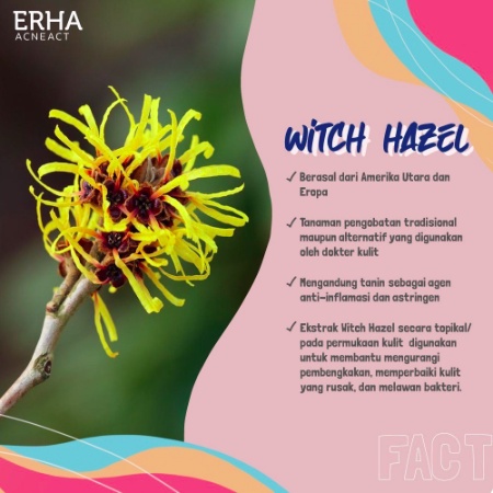 ERHA AcneAct Witch Hazel Series