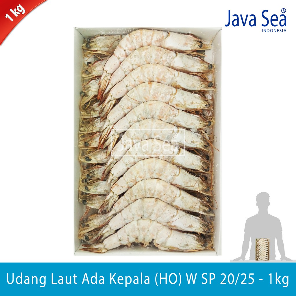 

Udang Laut Utuh Ada Kepala HO W SP 20/25 pack 1kg Sea Praise