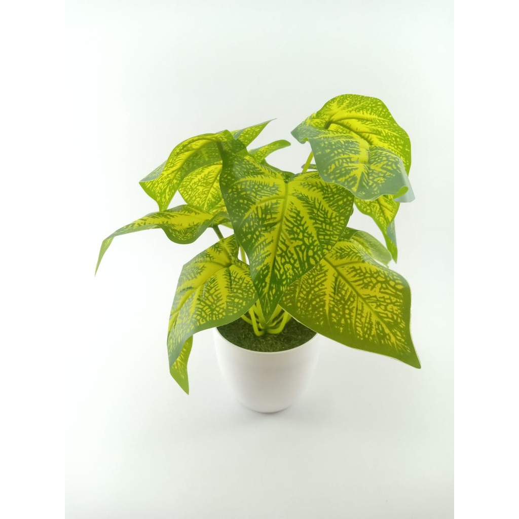 COD TANAMAN HIAS TANAMAN DAUN PLASTIK TANAMAN HIAS RUMAH BUNGA HIAS BUNGA PLASTIK BUNGA BP8829-HIJAU MUDA