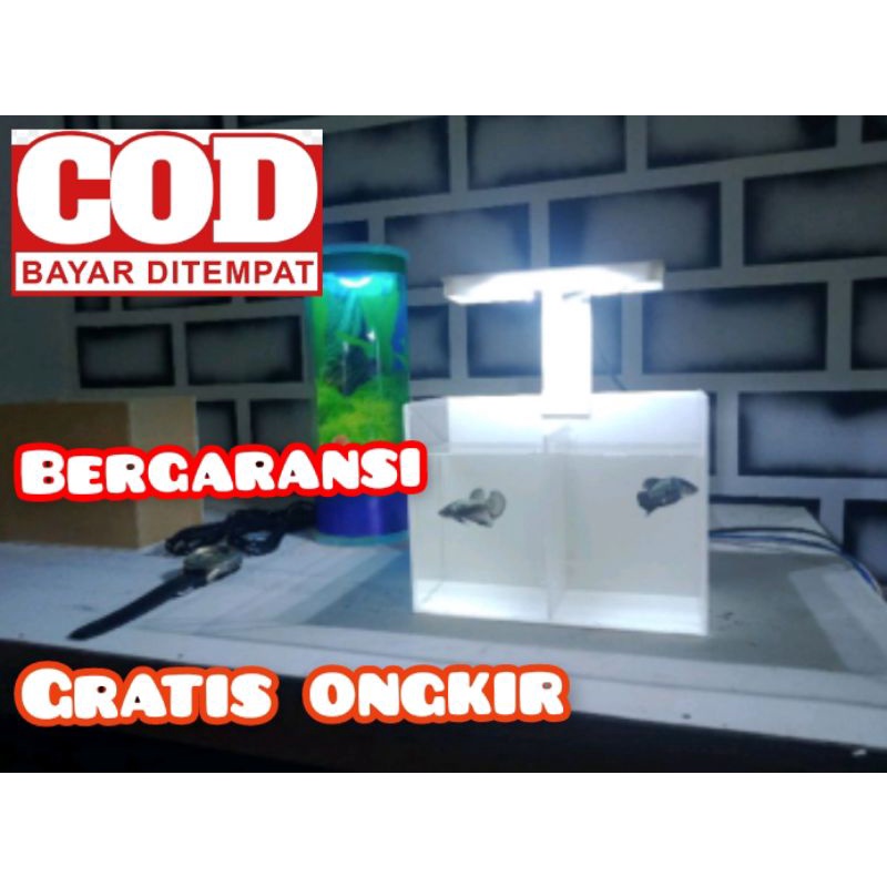 Aquarium Akrilik Sekat