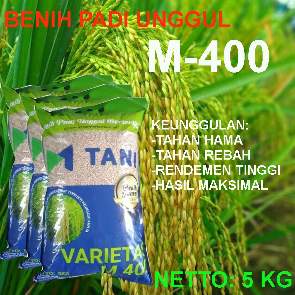Benih Padi M400 Bersertifikat Garansi Resmi Netto 5 Kg