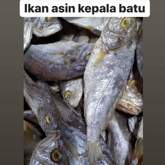 

IKAN ASIN KEPALA BATU