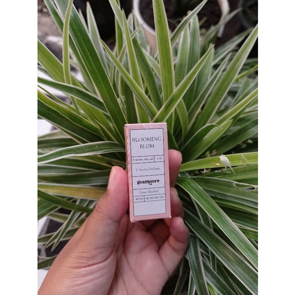 MANTULAJAA – GEAMOORE VSCENT Perfume / Parfum Kewanitaan MISS V 3ml-VSCENT-BLOOMING BLUM