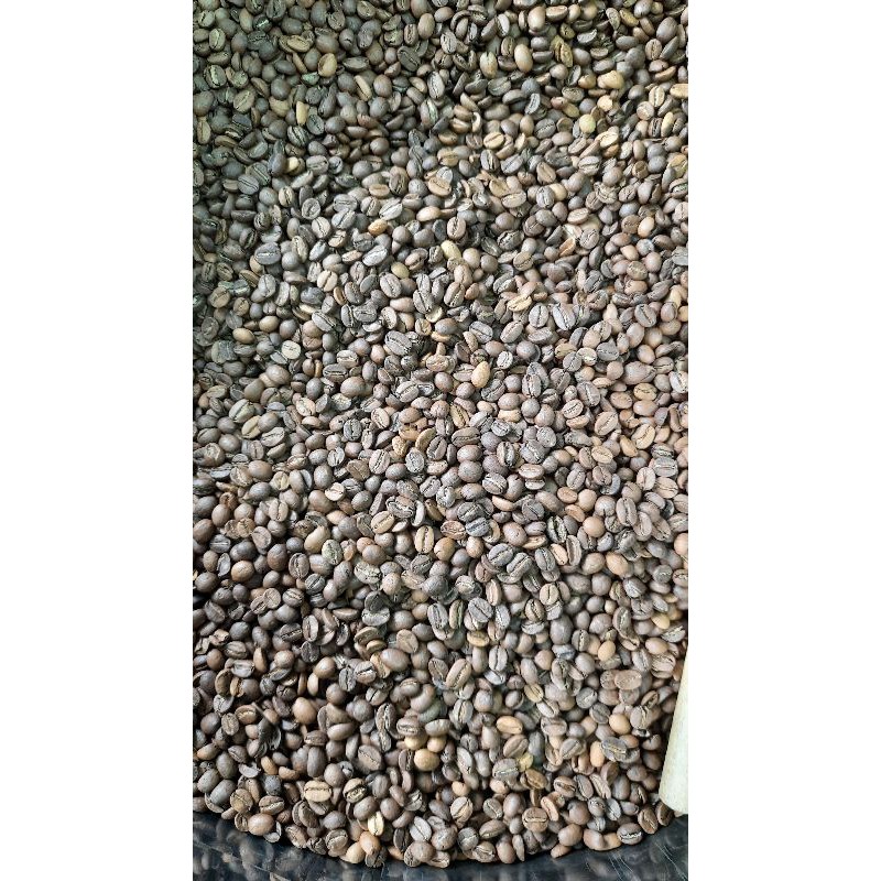 

kopi abang arabika gunung kelir G2 ukuran 1 kg