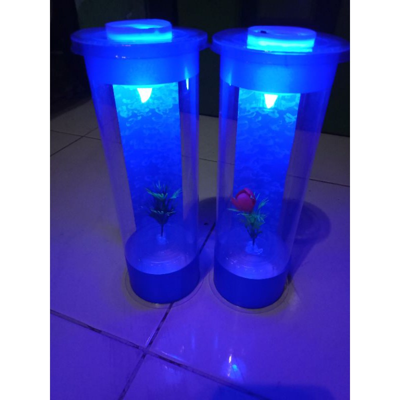 (COD) aquarium mini ikan cupang versi colour