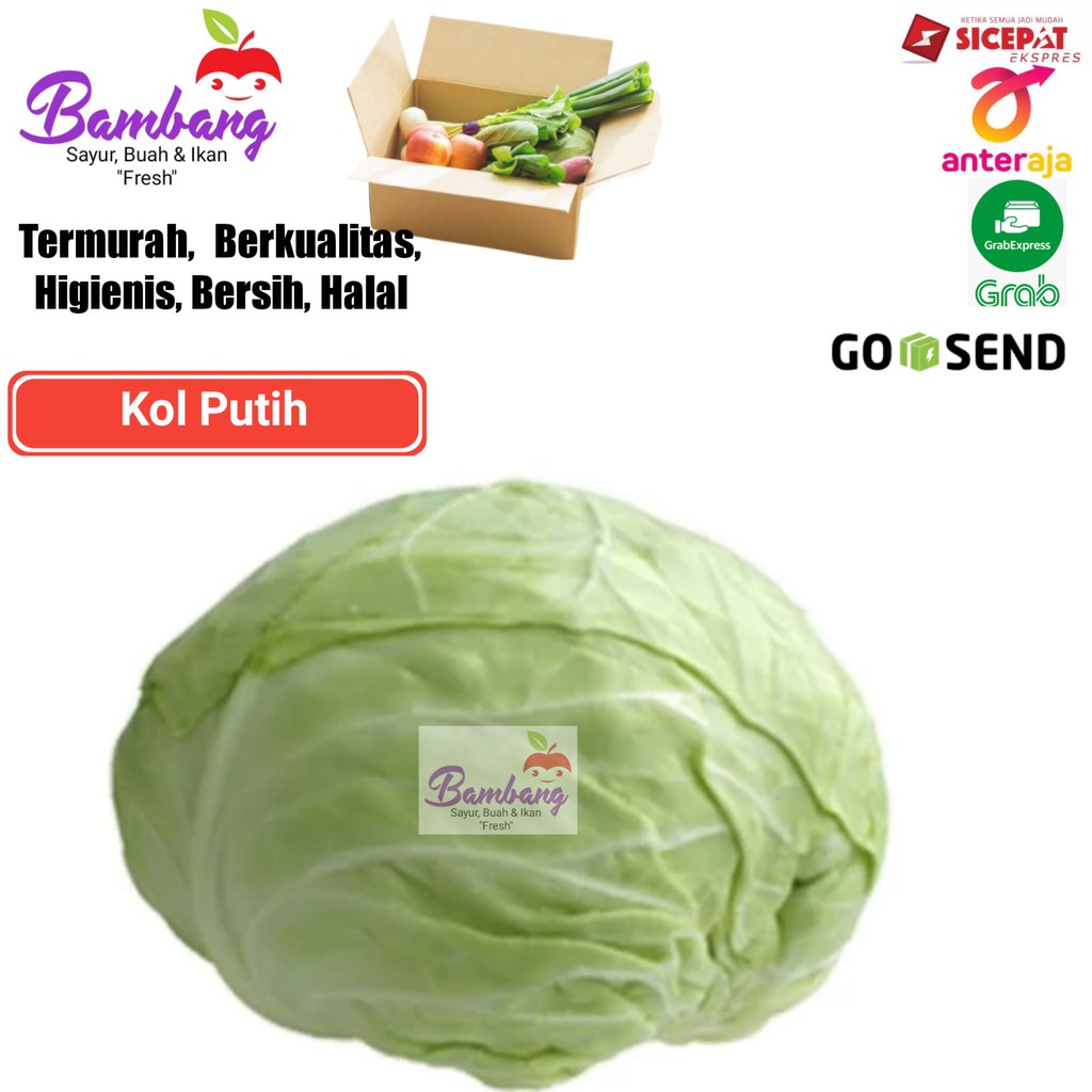 

kol sayur segar sayuran kol fresh 500gram - 1kg