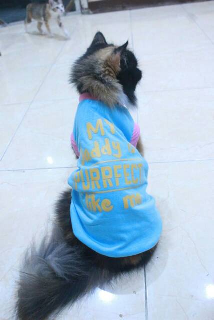 Kaos biru sablon bertuliskan &quot;my daddy purrfect like me&quot; untuk kucing dan anjing size S M L XL