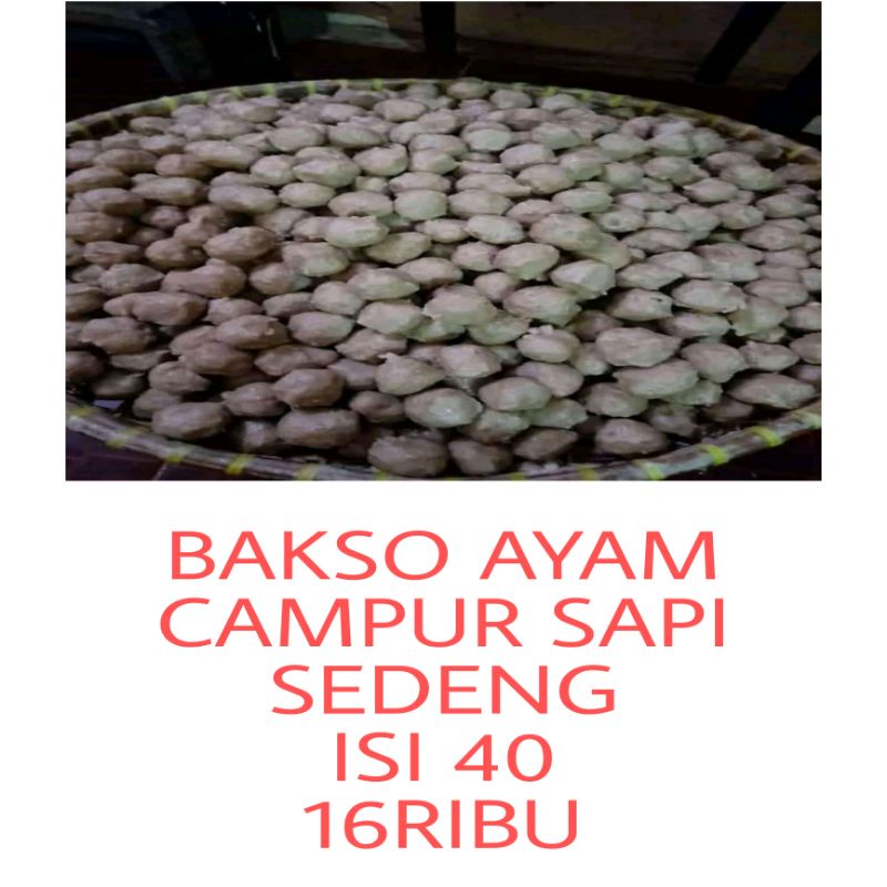 

BAKSO AYAM CAMPUR SAPI SEDENG ISI 40 ENAK LEZAT MURAH