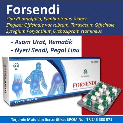 

Forsendi || Solusi Masalah Asam Urat, rematik dan Nyeri sendi