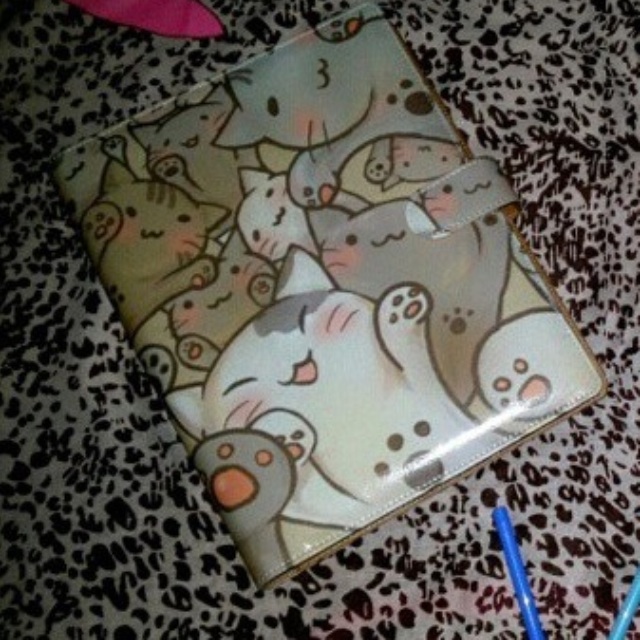 

Binder kucing