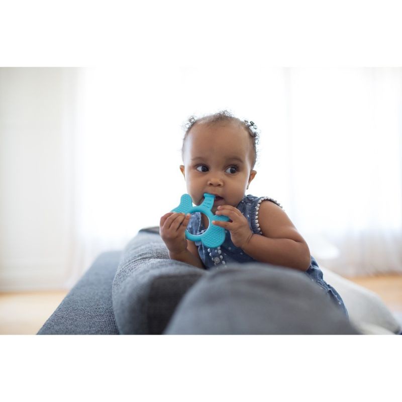 Dr Brown's Teether Baby - Dr Browns Gigitan Bayi Pereda Tumbuh Gigi